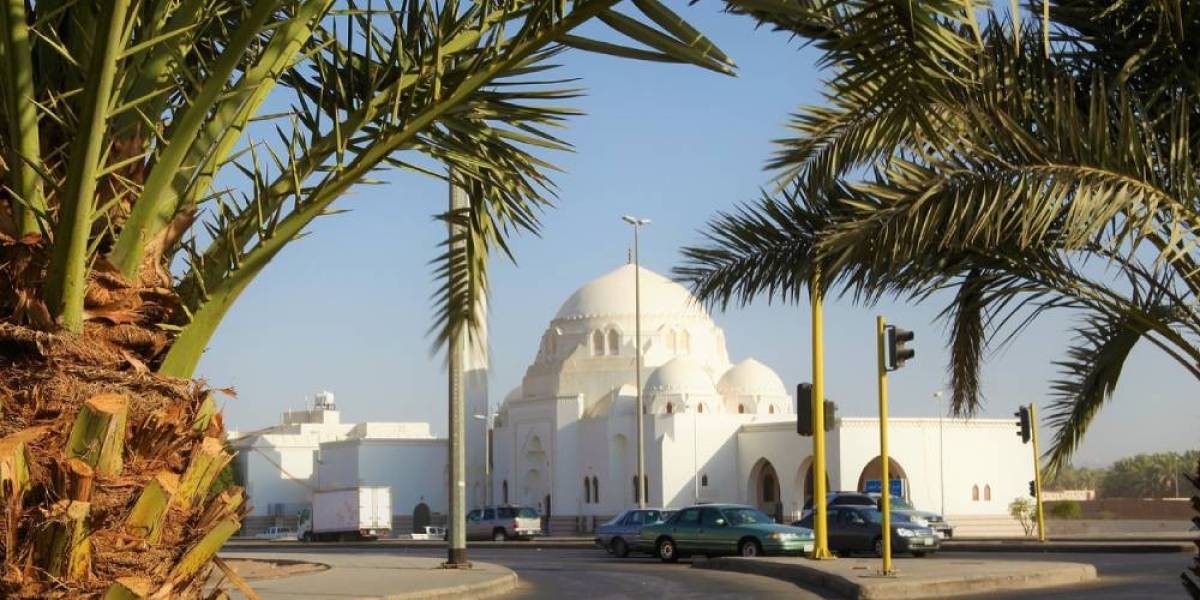 SÖMESTR UMRESİ (14 GÜNLÜK) - Resim #9