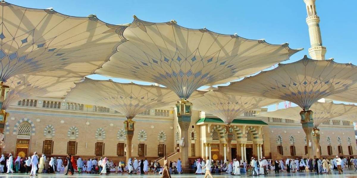 SÖMESTR UMRESİ (14 GÜNLÜK) - Resim #7